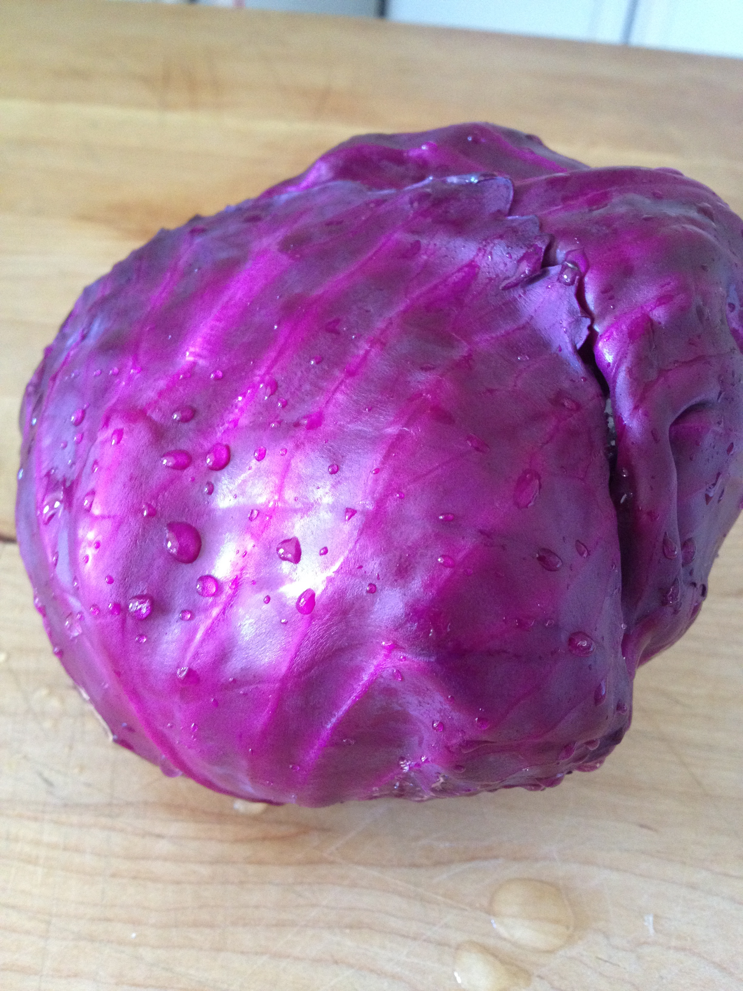 homemade sauerkraut | stems and all