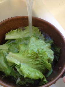 Adding cold water to lettuce in copper double boiler to soak and rinse.